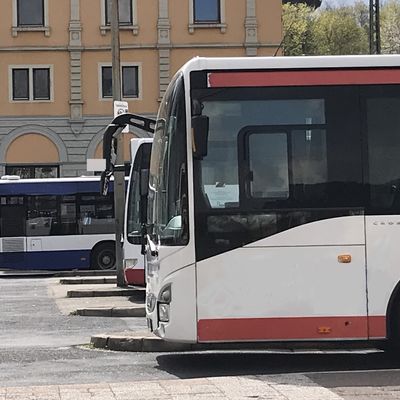 Bild vergrößern: Busse in einer Reihe am Hauptbahnhof in Neustadt an der Weinstraße