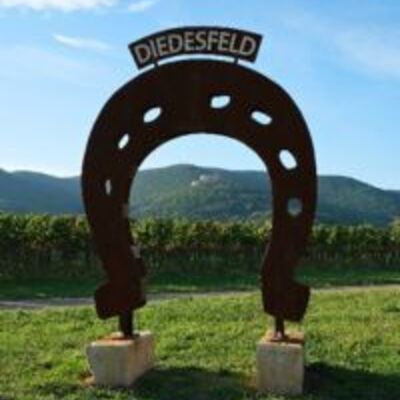 Großes Metallkunstwerk in Form eines Hufeisens vor Weinreben und Bergen