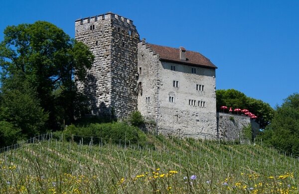 Bild vergr&ouml;&szlig;ern: Habsburg Schloss