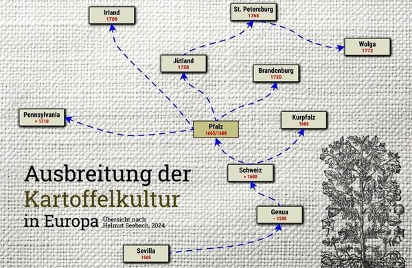Bild vergr&ouml;&szlig;ern: Ausbreitung der Kartoffel in Europa