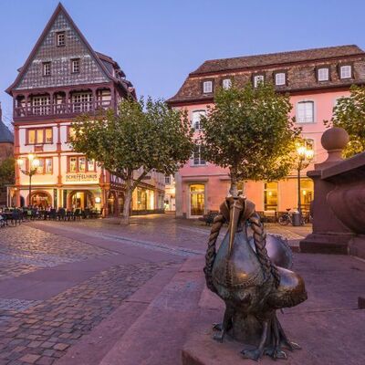 Bild vergr&ouml;&szlig;ern: Elwetritsche-Markplatz