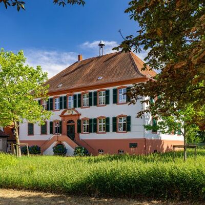 Bild vergr&ouml;&szlig;ern: Mußbach