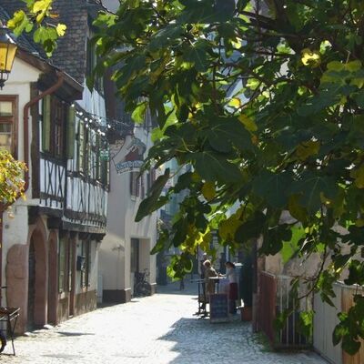 Bild vergr&ouml;&szlig;ern: eine Gasse mit Fachwerkhäusern und Pflanzen, die in das Bild ragen