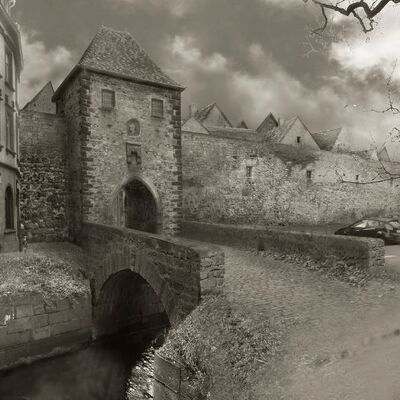 Bild vergr&ouml;&szlig;ern: 150_auf der Mauer auf der Lauer