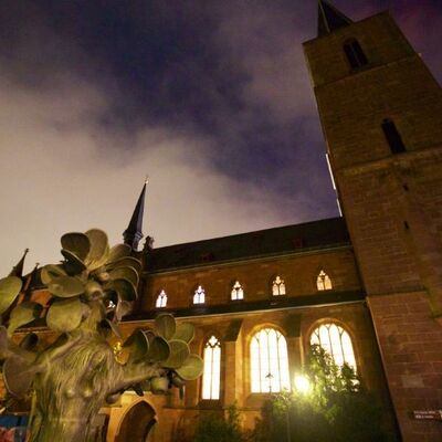 Bild vergr&ouml;&szlig;ern: 151_Nächtliche Stiftskirche Neustadt an der Weinstraße