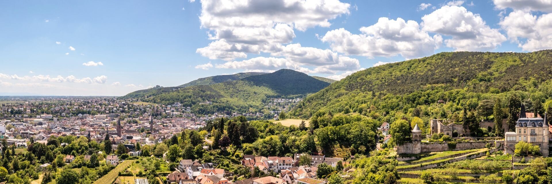 Willkommen in Haardt – dem Balkon der Pfalz / Neustadt an der Weinstraße