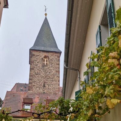 Bild vergr&ouml;&szlig;ern: 173_Mußbach Kirche