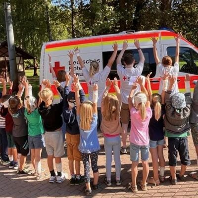 Bild vergr&ouml;&szlig;ern: 800Lea Nied3
