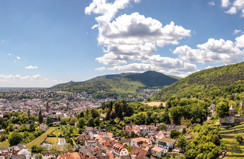 Panoramablick auf Neustadt an der Weinstraße 
