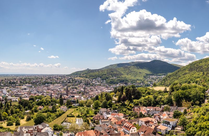 Panoramablick auf Neustadt an der Weinstraße 