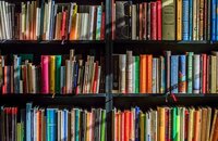 Bild vergr&ouml;&szlig;ern: Blick auf ein mit Büchern gefülltes Regal.