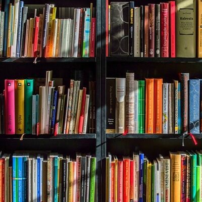 Blick auf ein mit Büchern gefülltes Regal.