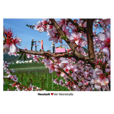 Bild vergr&ouml;&szlig;ern: "Little Neustadt" Postkarte