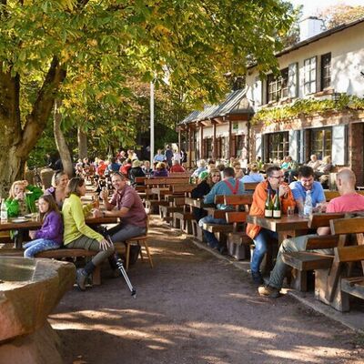 Bild vergr&ouml;&szlig;ern: Die Waldhütte Hohe-Loog-Haus in Neustadt an der Weinstraße. Das Bild verlinkt zur externen Website der Hohe-Loog-Hütte.