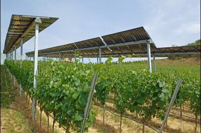 Bild vergr&ouml;&szlig;ern: Viti-PV mit Trackersystem