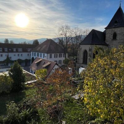 Weinwanderung Magischer Mussbach - nachhaltig und genussvoll