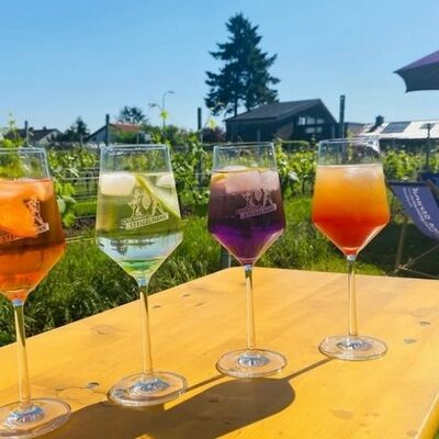 Viel Gläser stehen auf einem Tisch in der Sonne, im Hintergrund sieht man einen Weinberg und einen Liegestuhl mit Sonnenschirm
