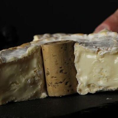 Bild vergr&ouml;&szlig;ern: Ein aufgeschnittener Weichkäse mit einem Weinkorken in der Mitte