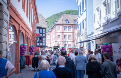Bild vergr&ouml;&szlig;ern: Innenstadt Neustadt Weinstraße