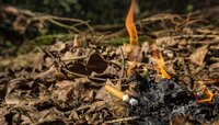 Bild vergr&ouml;&szlig;ern: Der Mensch ist die Hauptursache von Waldbränden.