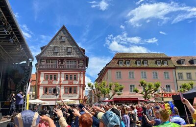 Bild vergrößern: 1832.Das Fest der Demokratie