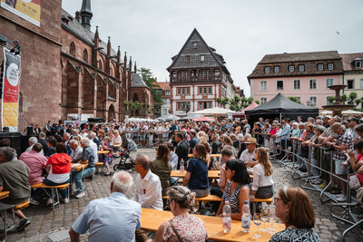 Bild vergr&ouml;&szlig;ern: Demokratiefest Hauptbühne Publikum