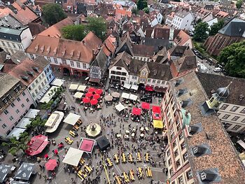1832.Das Fest der Demokratie in Neustadt an der Weinstraße 2026 © Stadt Neustadt