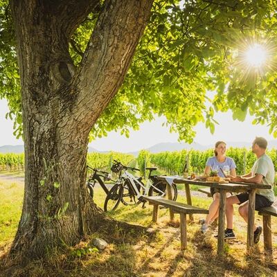 Bild vergr&ouml;&szlig;ern: Pfälzer Picknick 3