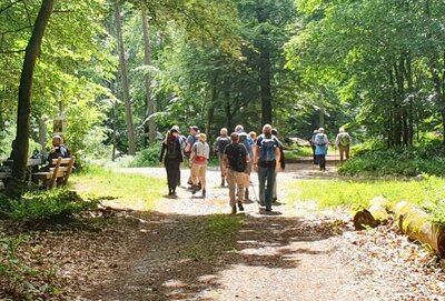 Bild vergr&ouml;&szlig;ern: Wander Impressionen vom PWV Haardt
