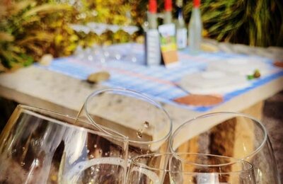 Bild vergrößern: Weinlagen Erlebnis-Tour über die Haardt