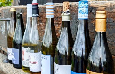 Bild vergrößern: Weinlagen Erlebnis-Tour über die Haardt