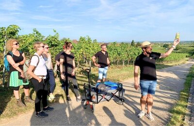 Bild vergrößern: Weinlagen Erlebnis-Tour über die Haardt