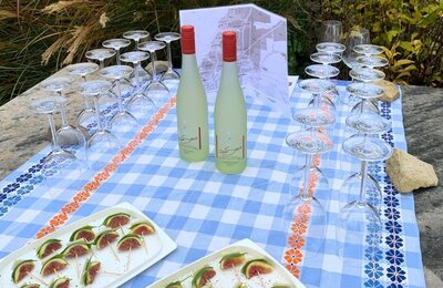 Bild vergrößern: Weinlagen Erlebnis-Tour über die Haardt