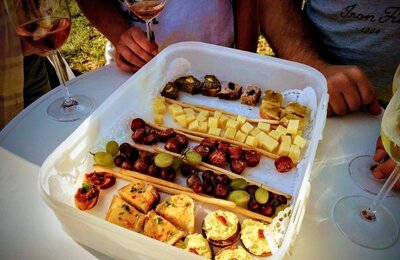 Bild vergrößern: Weinlagen Erlebnis-Tour über die Haardt