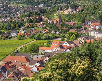 Bild vergr&ouml;&szlig;ern: Haardt vom Steinbruch aus gesehen