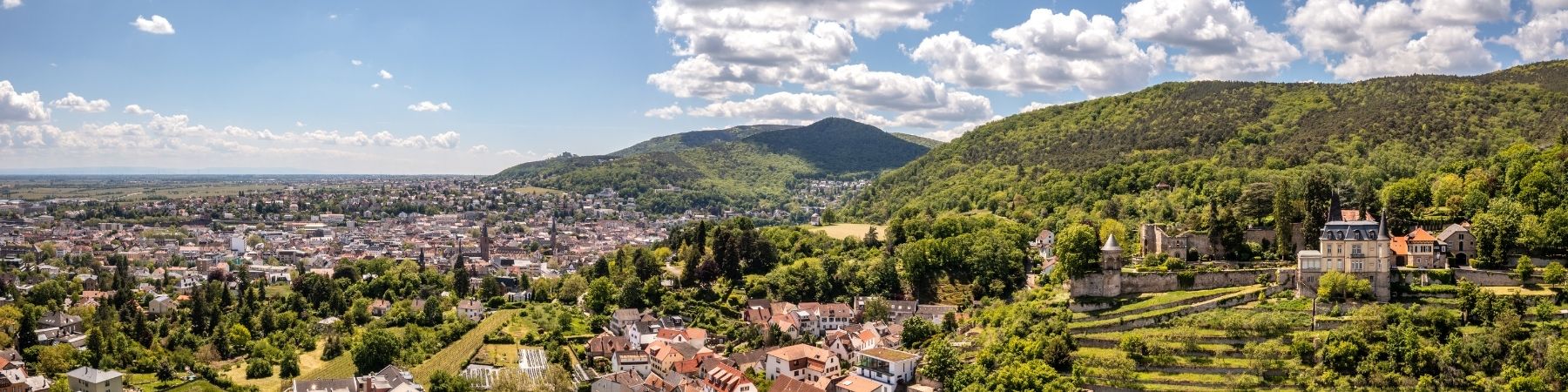 Panoramablick auf Neustadt an der Weinstraße 