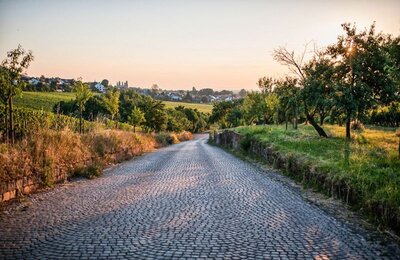 Spätsommer in Neustadt an der Weinstraße