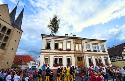Bild vergr&ouml;&szlig;ern: Maibaumaufstellung bei der Geinsheimer Wein- und Ludwigskerwe