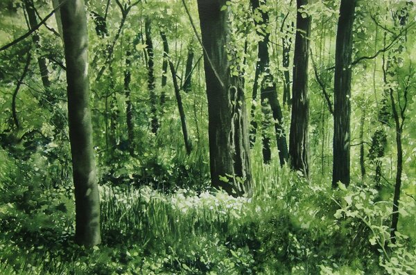 Bild vergr&ouml;&szlig;ern: Gemälde des Künstlers Detlev Bucks, Bei den Geiersteinen, Aquarell, 29x44 cm