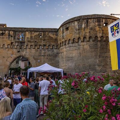 Bild vergr&ouml;&szlig;ern: Stadtmauerfest Freinsheim