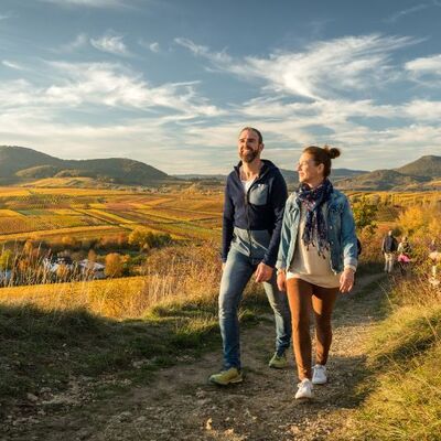 Bild vergr&ouml;&szlig;ern: Blick über die Südliche Weinstraße