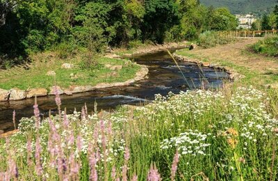 Bild vergr&ouml;&szlig;ern: Der renaturierte Speyerbach fließt durch das Gelände der Landesgartenschau 2028 in Neustadt an der Weinstraße.