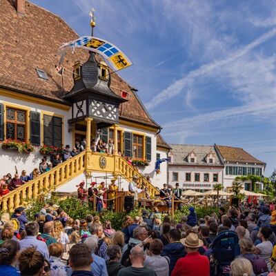 Bild vergr&ouml;&szlig;ern: Urlaubsregion Deidesheim