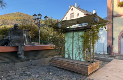 Bild vergr&ouml;&szlig;ern: Mobiler Garten