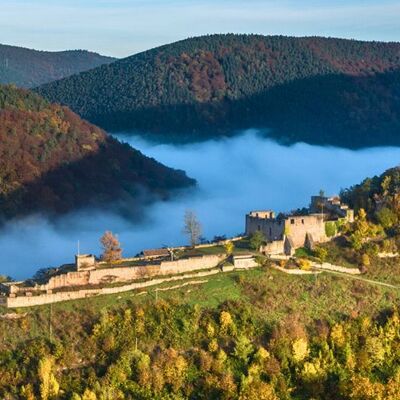 Bild vergr&ouml;&szlig;ern: Wolfsburgruine in Neustadt an der Weinstraße