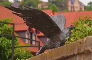 Bild vergr&ouml;&szlig;ern: Vögel
