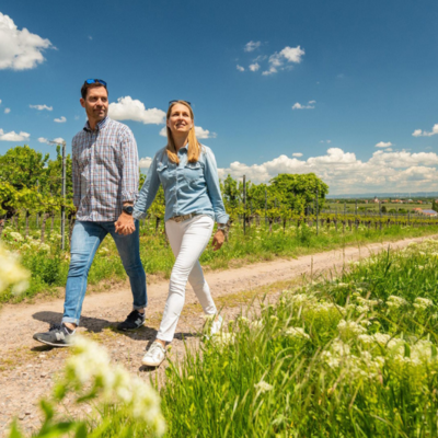Bild vergr&ouml;&szlig;ern: Spaziergang Weinberge