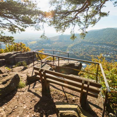 Bild vergr&ouml;&szlig;ern: Bergstein Neustadt