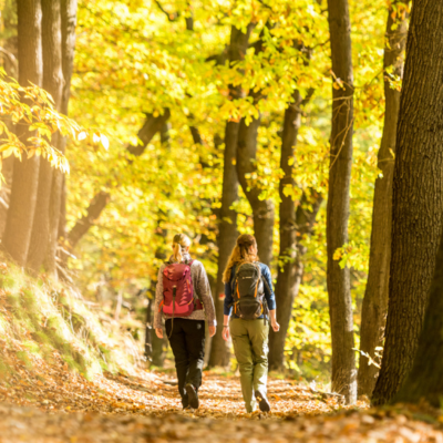 Bild vergr&ouml;&szlig;ern: Wandern Neustadt