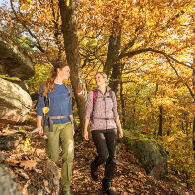 Bild vergr&ouml;&szlig;ern: Wandern Weinstieg